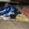A crawl space filled with loose insulation, debris, and a large tarp in Becarra.