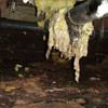 Fiberglass insulation dripping off a pipe in Deep Cove.