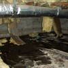 Fiberglass insulation dripping off a floor joist in a soaked crawl space with a think black liner in Surrey.