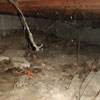 A crawl space with spiderwebs, mold, and uneven floors in Pitt Meadows.