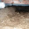 A muddy, disgusting crawl space with little or no head room in Anmore.