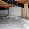 A clean, encapsulated crawl space in Abbotsford.