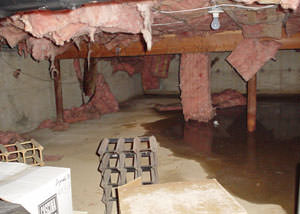 Fiberglass dripping off of the ceilings of a Maple Ridge crawl space