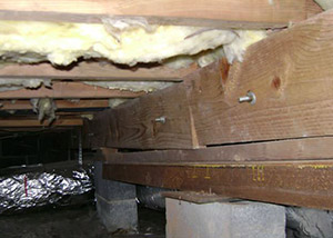 A sagging crawl space with concrete supports and wooden shimming a West Vancouver crawl space