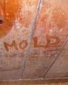 The word mold written with a finger on a moldy wood wall in Abbotsford