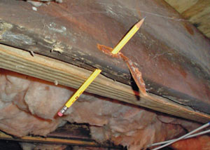 Destroyed crawl space structural wood in White Rock