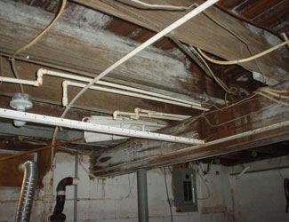 a humid basement overgrown with mold and rot in Tsawwassen