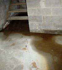 Flooding floor cracks by a hatchway door in Dewdney