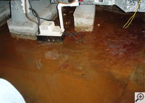 Water flooded with iron ochre and iron bacteria flooding a basement floor.
