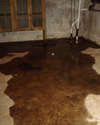 Wet basement repair in Vancouver & nearby